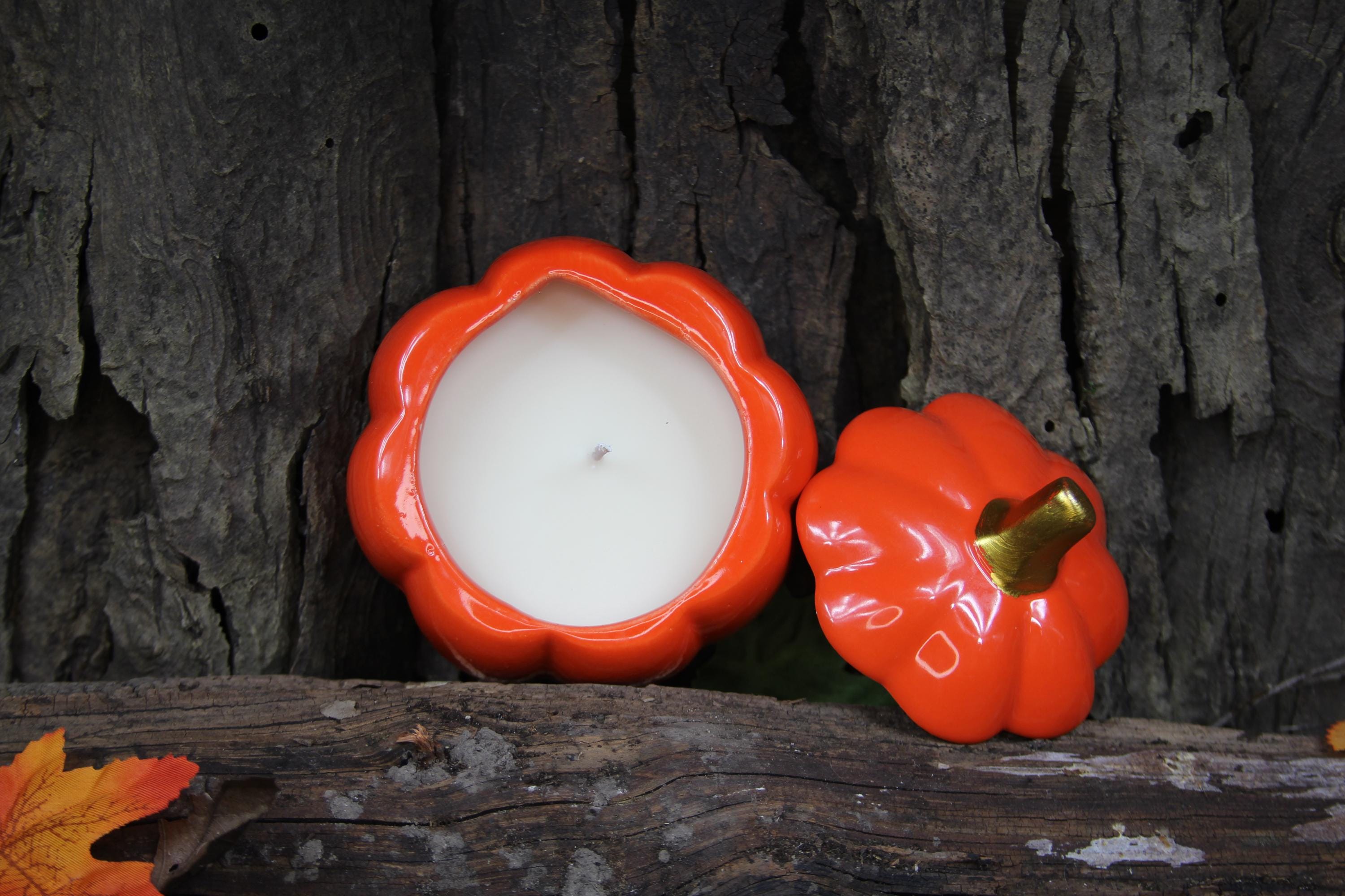 Cinnamon Hollows Candle - 12oz Pumpkin Spice