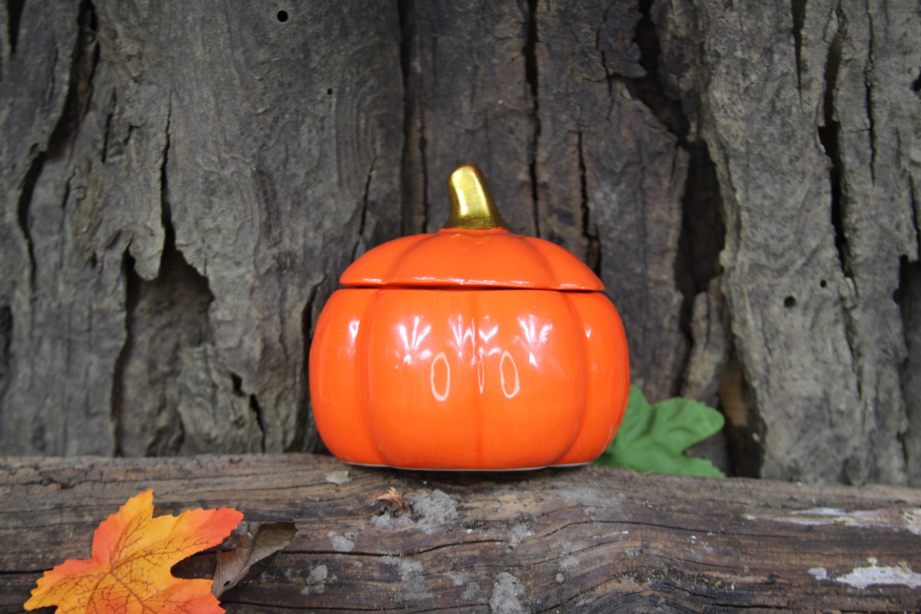 Cinnamon Hollows Candle - 12oz Pumpkin Spice