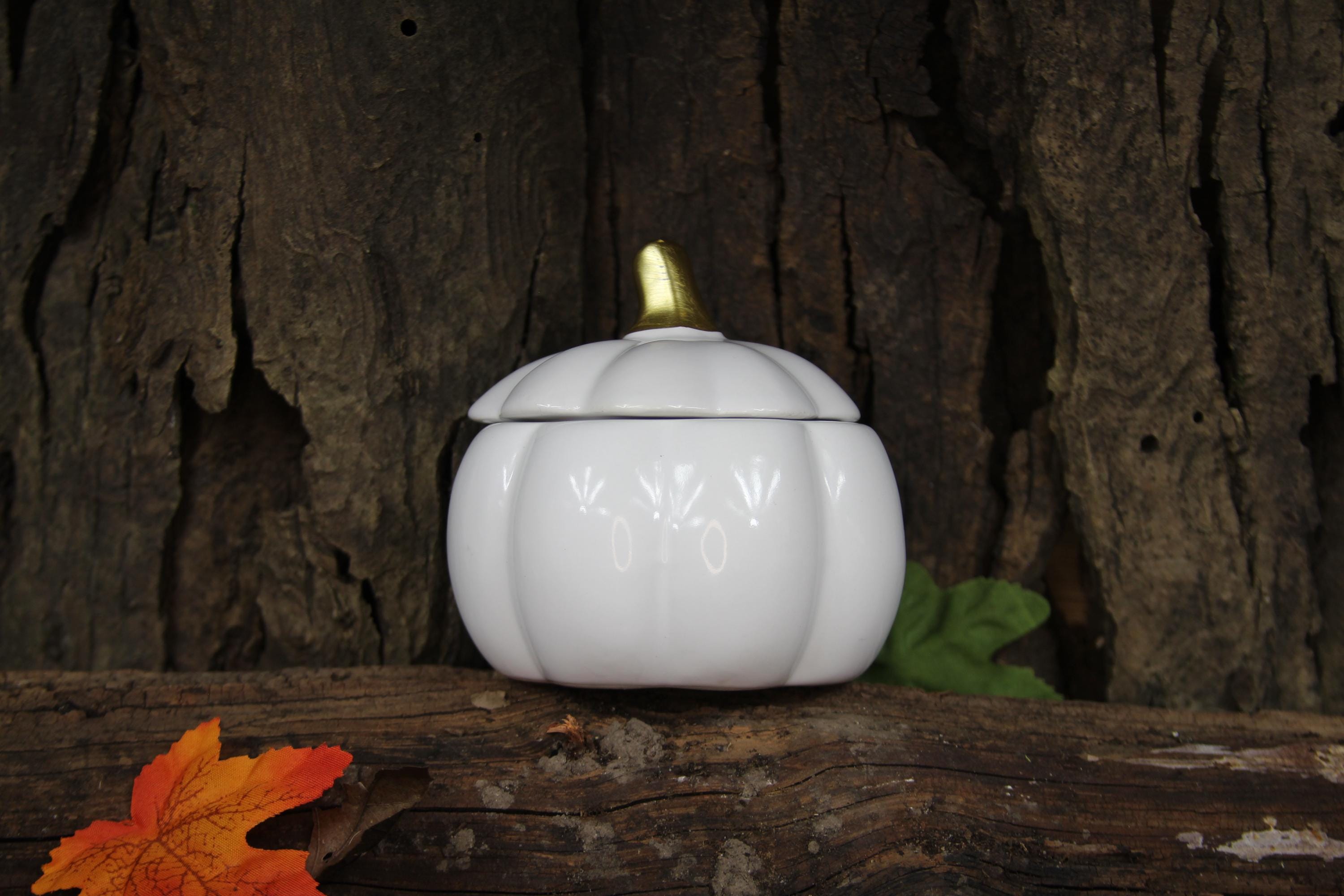Whispers of Fall 12 oz candle, Apple scented