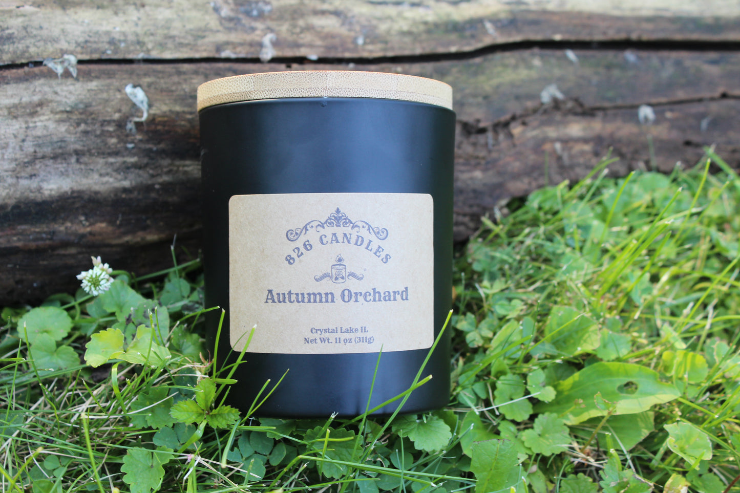 Autumn Orchard 11 oz candle, gift for her, housewarming gift, home decor, apple harvest scented, fall decor