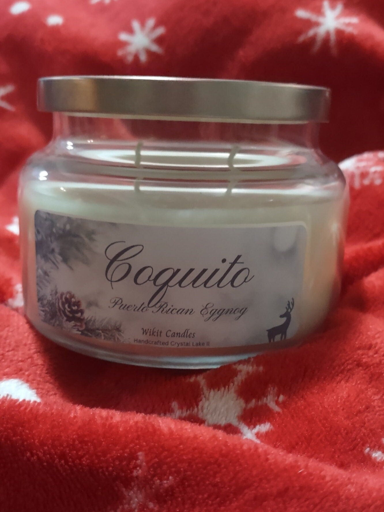 Coquito a Puerto Rican eggnog drink, Christmas gift, home Decore 11 oz candle